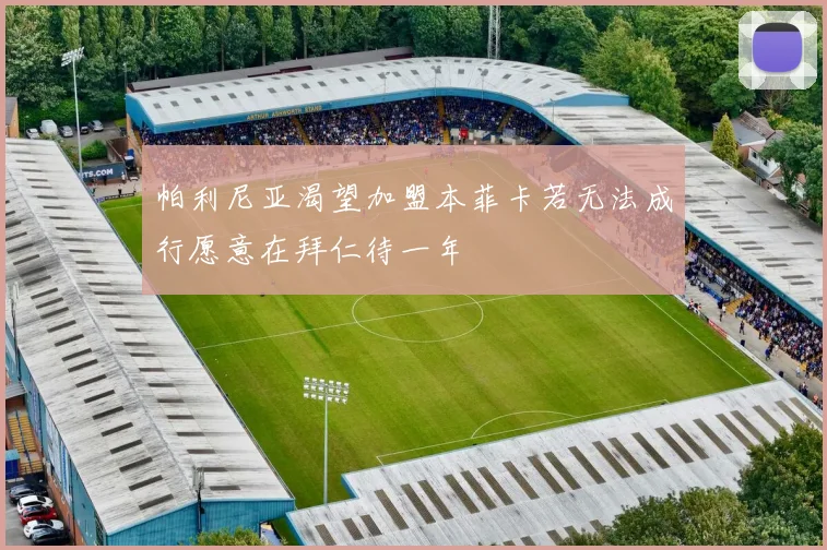 帕利尼亚渴望加盟本菲卡若无法成行愿意在拜仁待一年